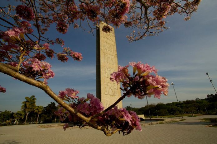 torre-do-relogio-usp